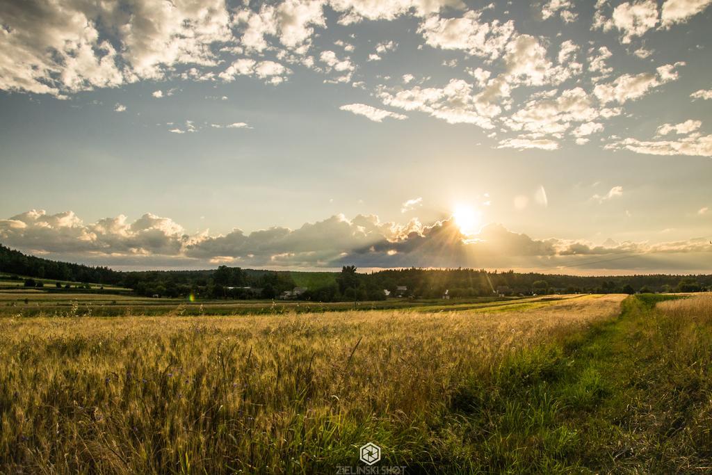 Agroturystyka Szumynowiny Majdan Sopocki エクステリア 写真